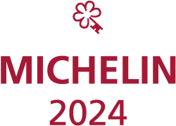 logo chiave Michelin 2024