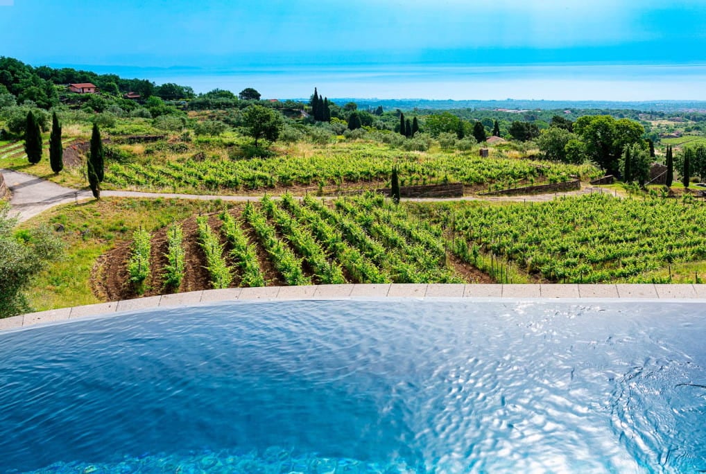 Organic Wine Resort